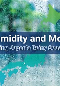 Fighting Humidity and Mold During Japan’s Rainy Season