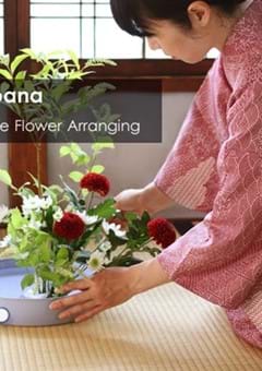 Exploring Ikebana, The Art of Japanese Flower Arranging