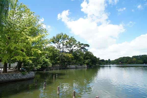 洗足池公園　Senzokuike Park.jpg