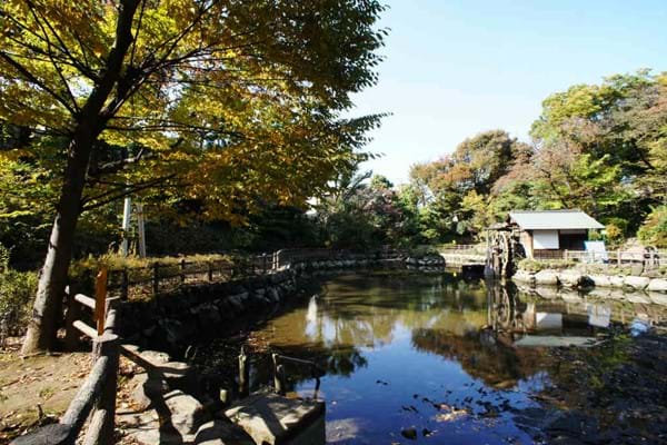 鍋島松濤公園　Nabeshima Shoto Park.jpg