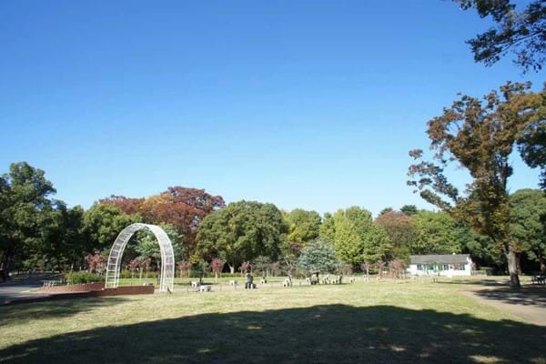 代々木公園　Yoyogi Park.jpg