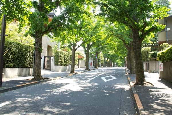 田園調布　並木道  Denenchofu Tree-lined Road.jpg